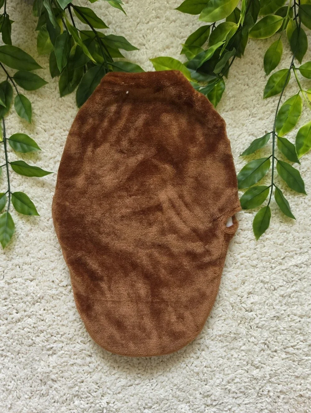 Carters great super